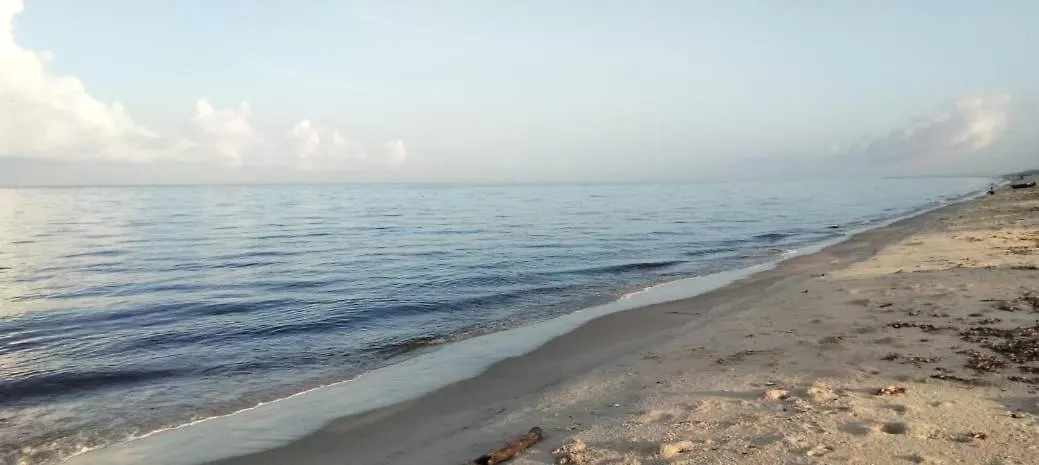 Dolphins Turf Bed and Breakfast Mararikulam