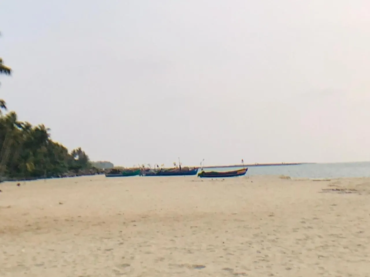 Bed & Breakfast Dolphins Turf Bed and Breakfast Mararikulam
