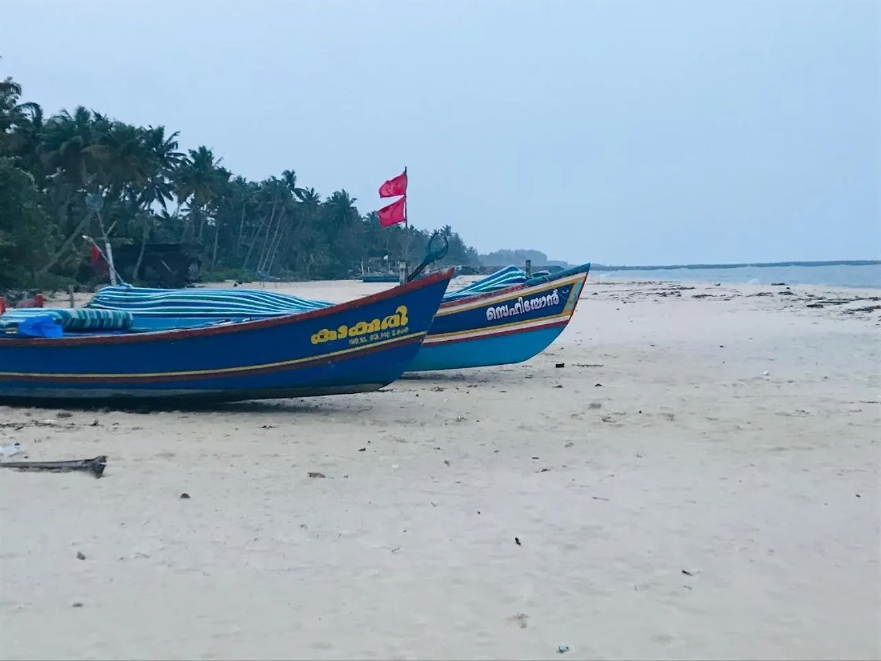 Dolphins Turf Bed and Breakfast Mararikulam